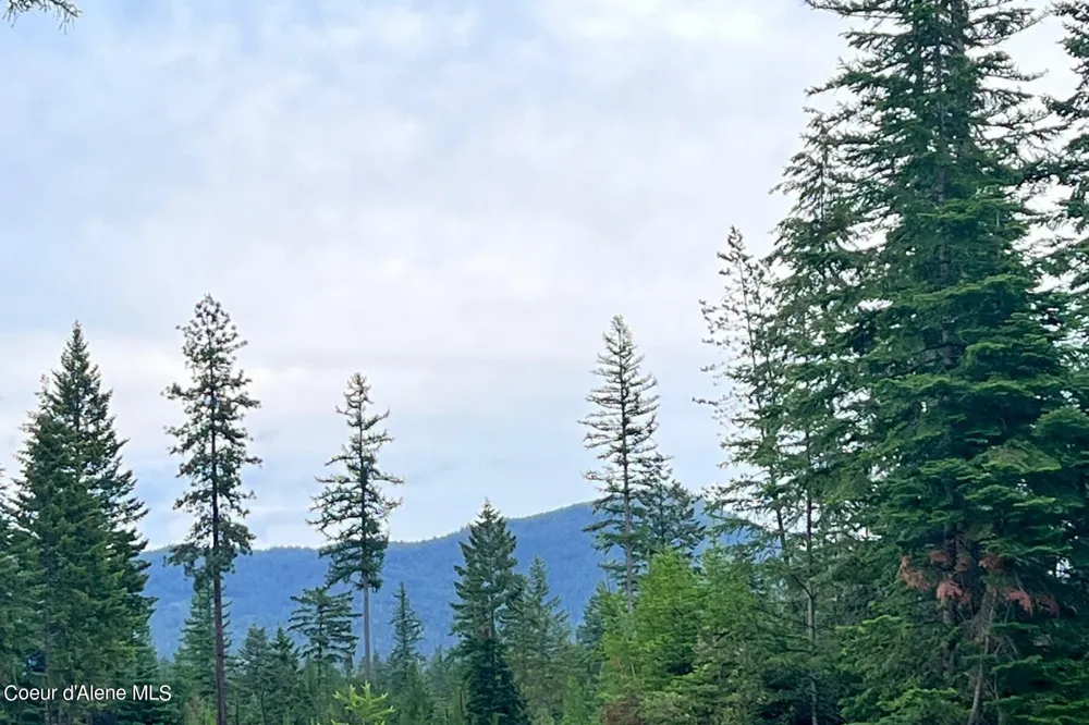 Lot 16 Blk 1 Leonard Loop Athol, ID 83801