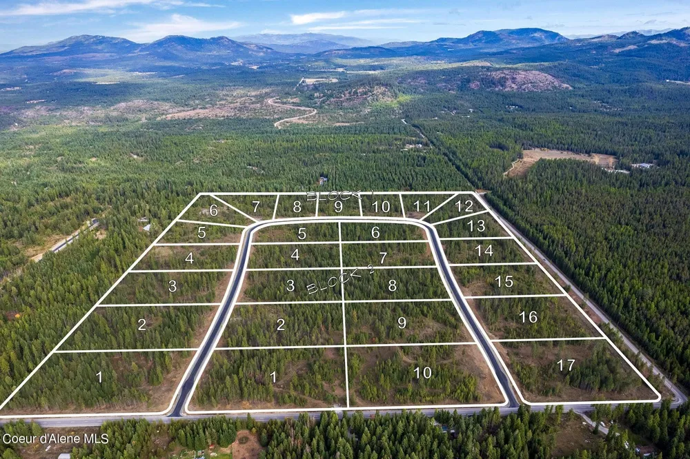 Lot 16 Blk 1 Leonard Loop Athol, ID 83801