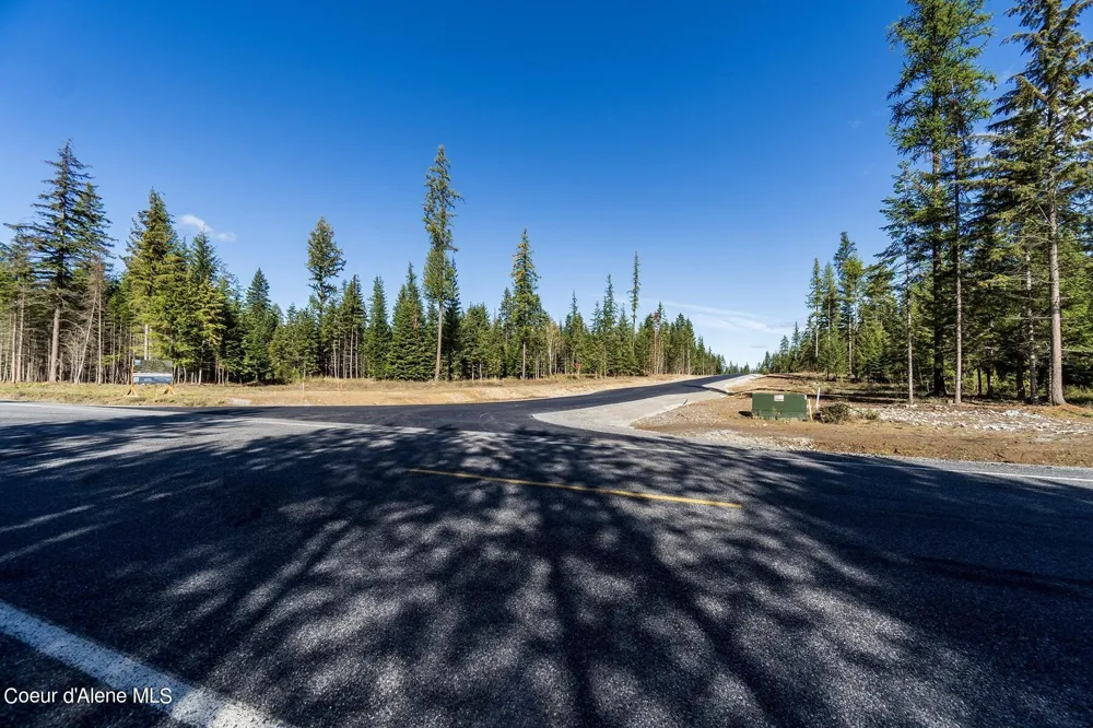 Lot 16 Blk 1 Leonard Loop Athol, ID 83801