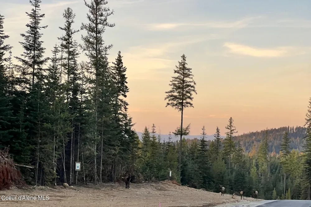 Lot 16 Blk 1 Leonard Loop Athol, ID 83801