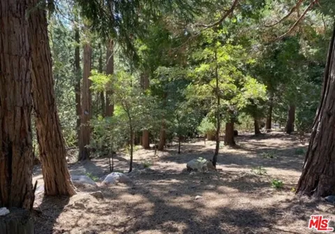Grass Valley