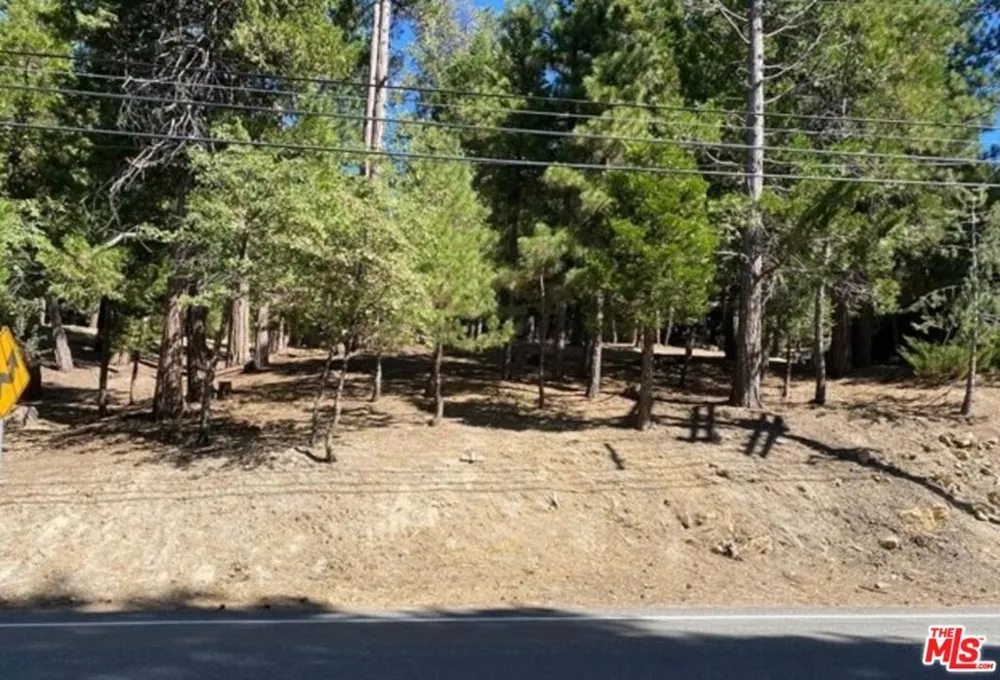 Grass Valley Lake Arrowhead, CA 2352