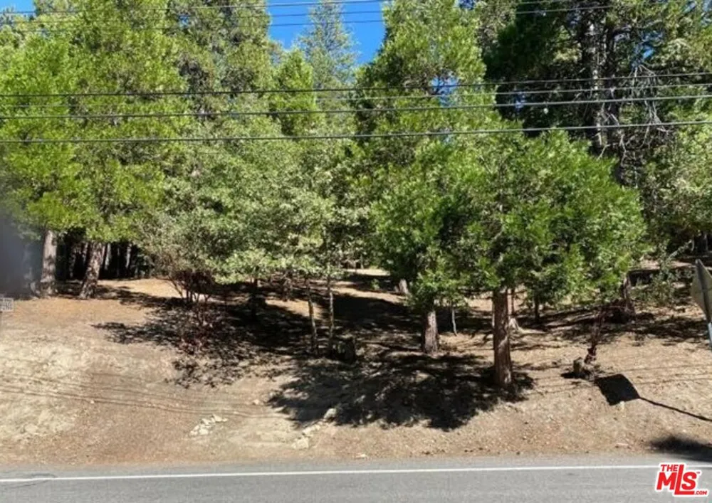 Grass Valley Lake Arrowhead, CA 2352