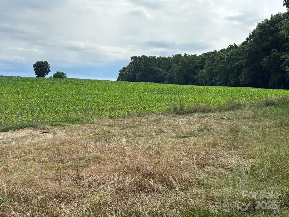 0 Wolf Pond Road Monroe, NC 28112
