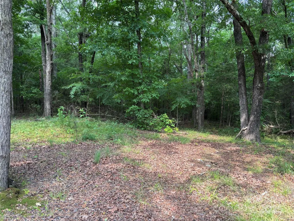 0 Wolf Pond Road Monroe, NC 28112
