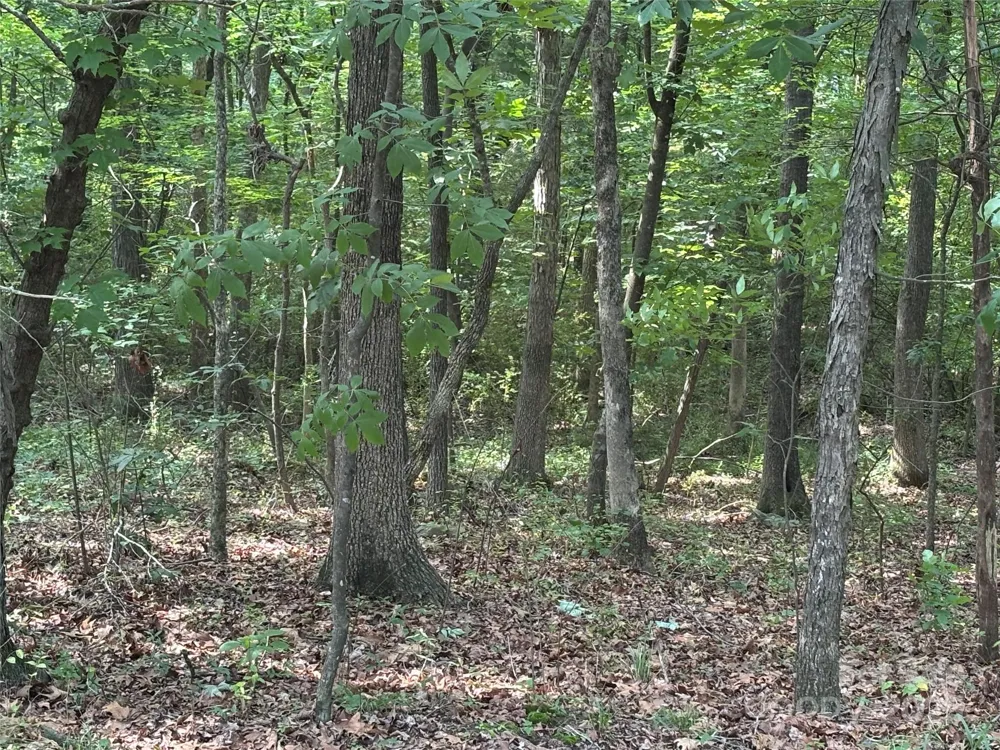 0 Wolf Pond Road Monroe, NC 28112