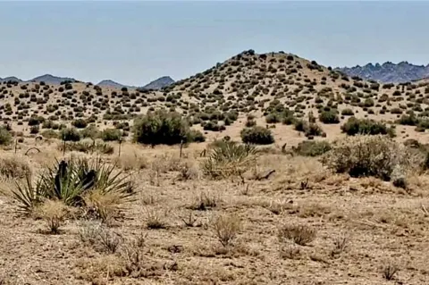 Trails End Ox Yoke Pass