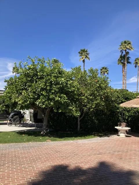 69411 Ramon Road #201