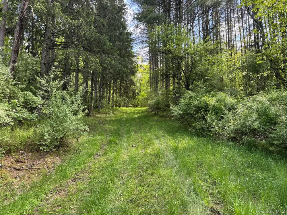 632 New Turnpike Road Cochecton, NY 12726