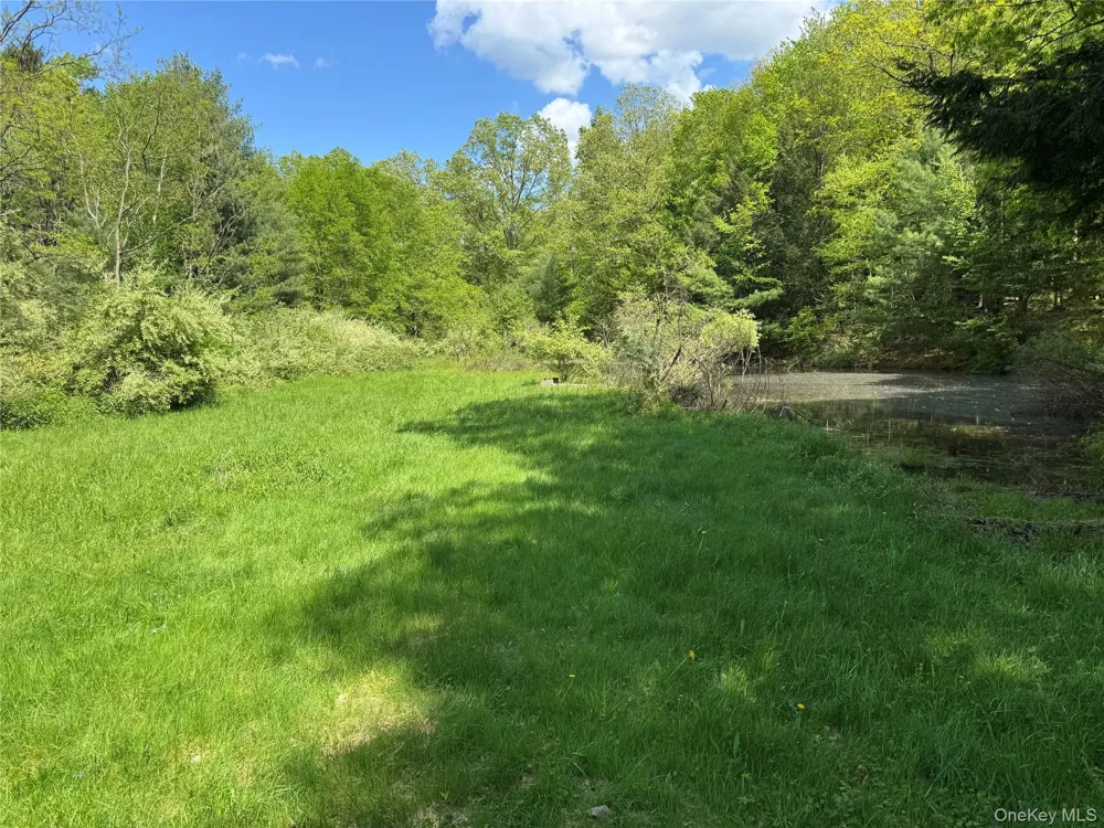 632 New Turnpike Road Cochecton, NY 12726