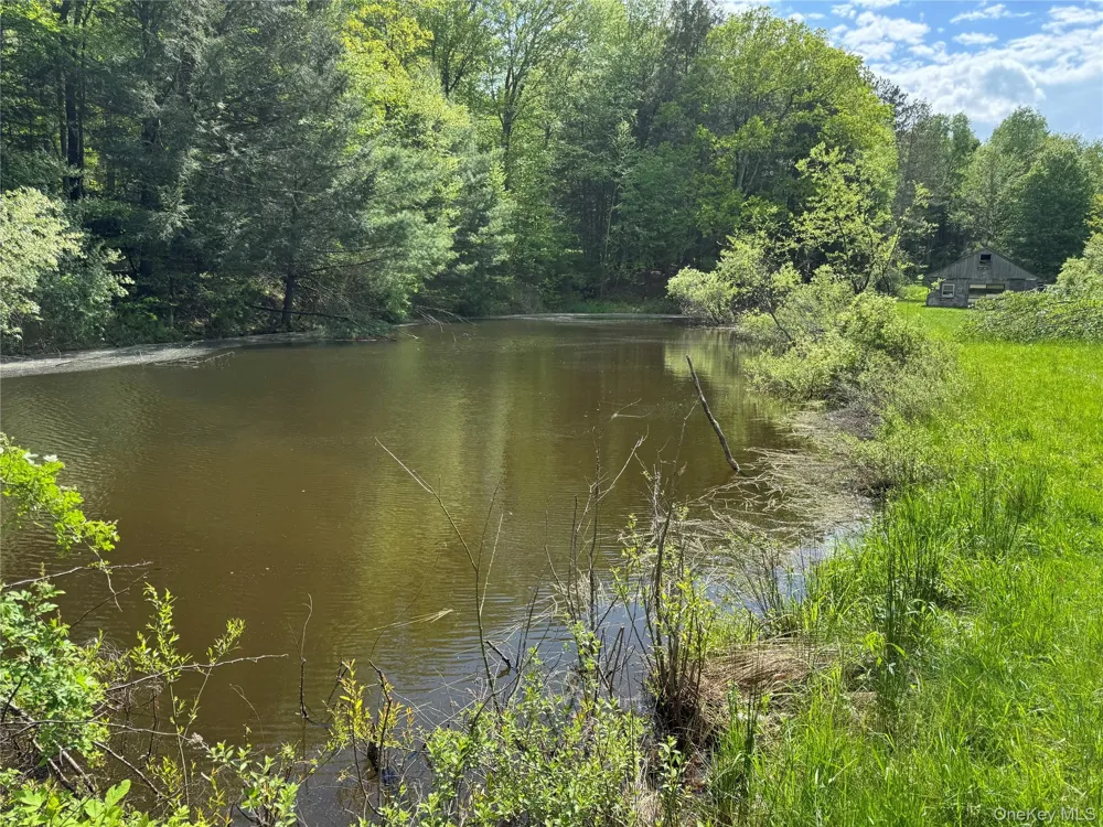 632 New Turnpike Road Cochecton, NY 12726