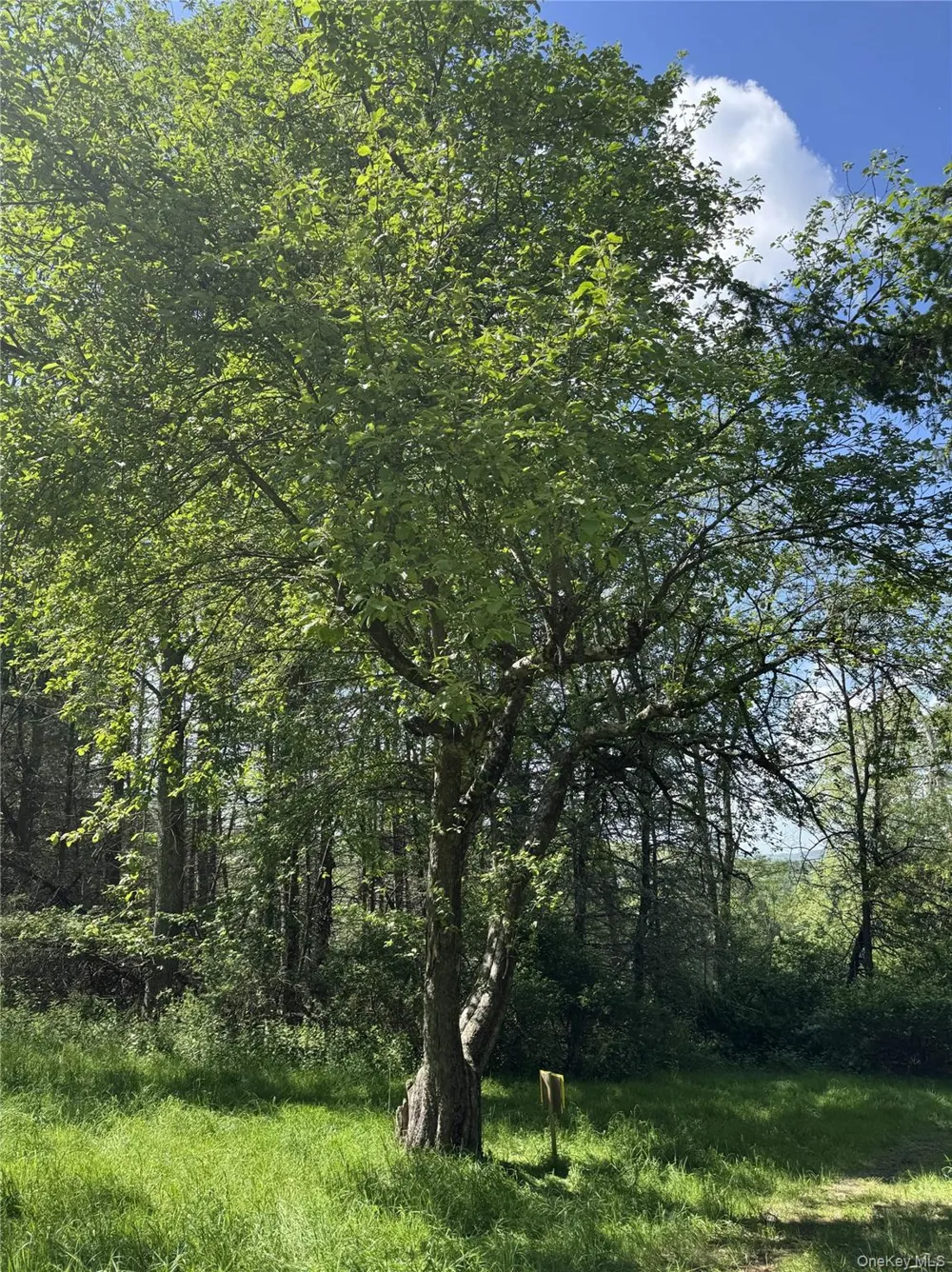 632 New Turnpike Road Cochecton, NY 12726