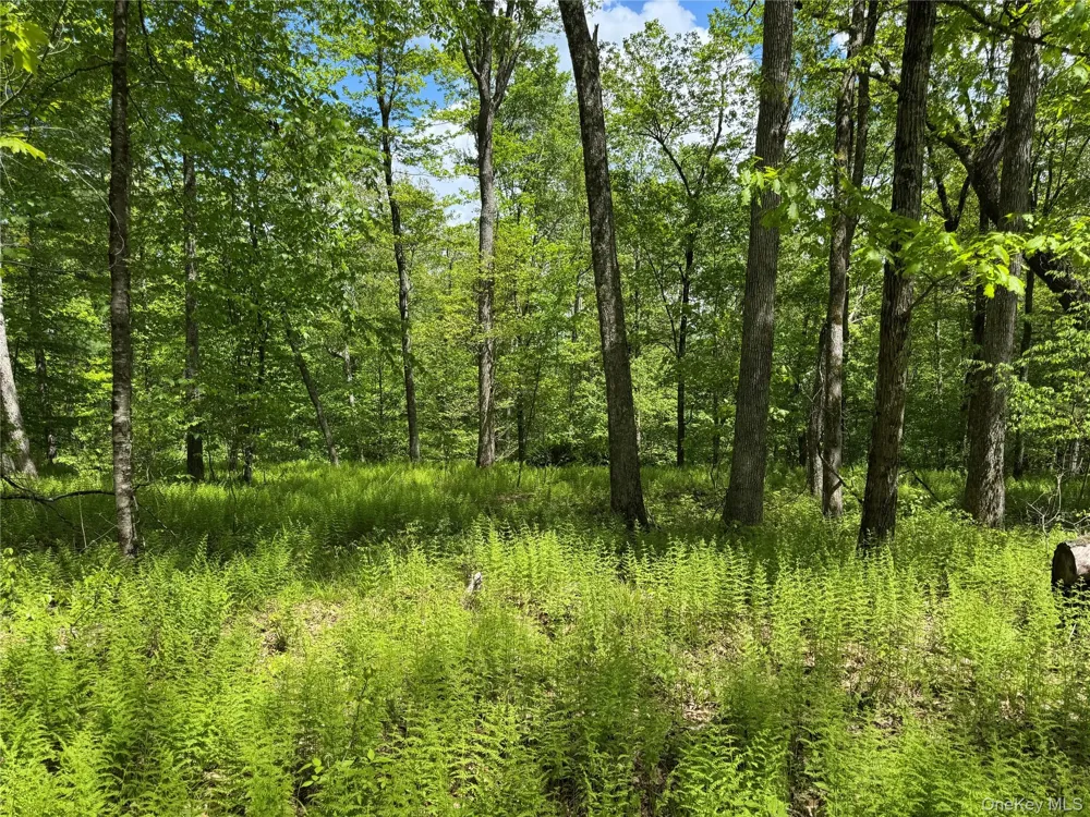 632 New Turnpike Road Cochecton, NY 12726