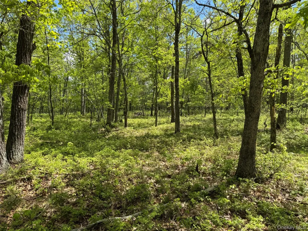 632 New Turnpike Road Cochecton, NY 12726