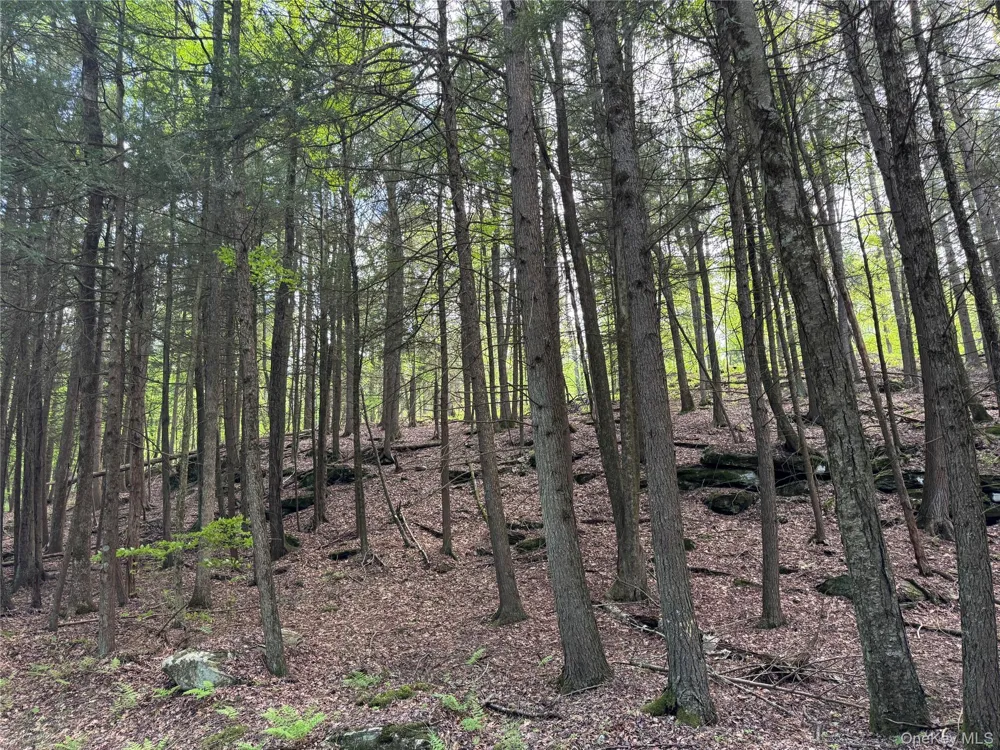632 New Turnpike Road Cochecton, NY 12726