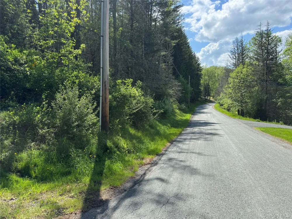 632 New Turnpike Road Cochecton, NY 12726