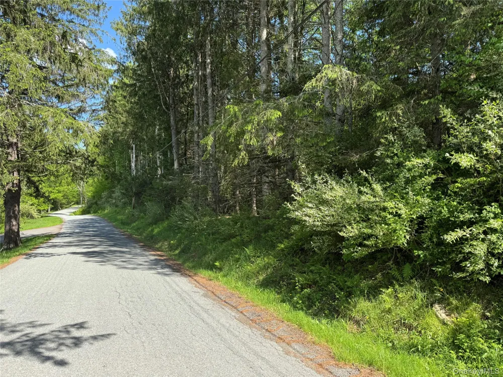 632 New Turnpike Road Cochecton, NY 12726