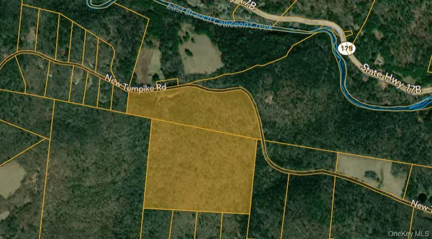 632 New Turnpike Road Cochecton, NY 12726