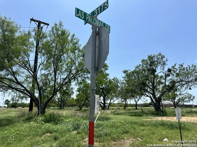 00 Las Palomas Track 2 Lytle, TX 78052