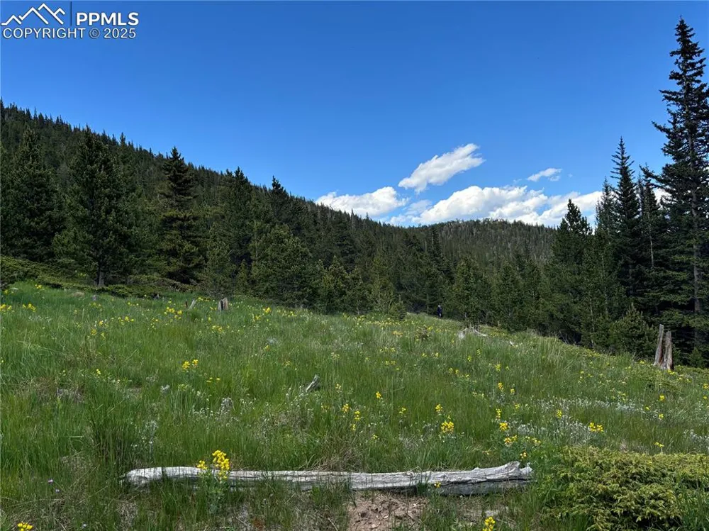 Hilltop Road Idaho Springs, CO 80452