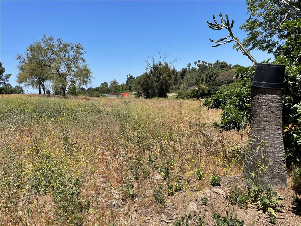 Linda Vista Drive San Marcos, CA 92078