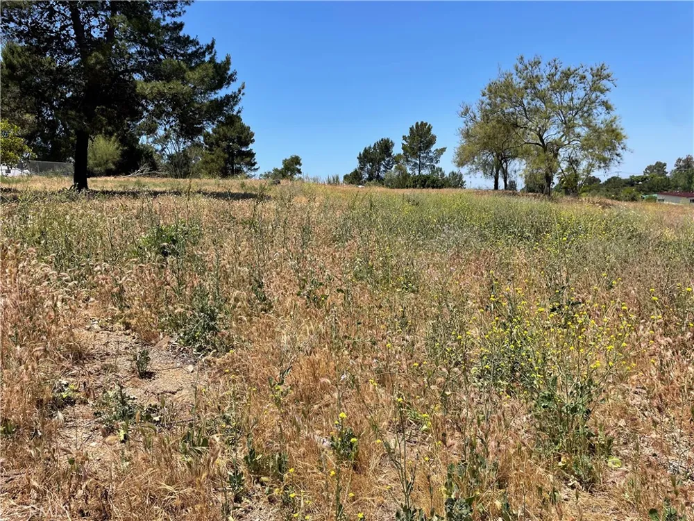 Linda Vista Drive San Marcos, CA 92078