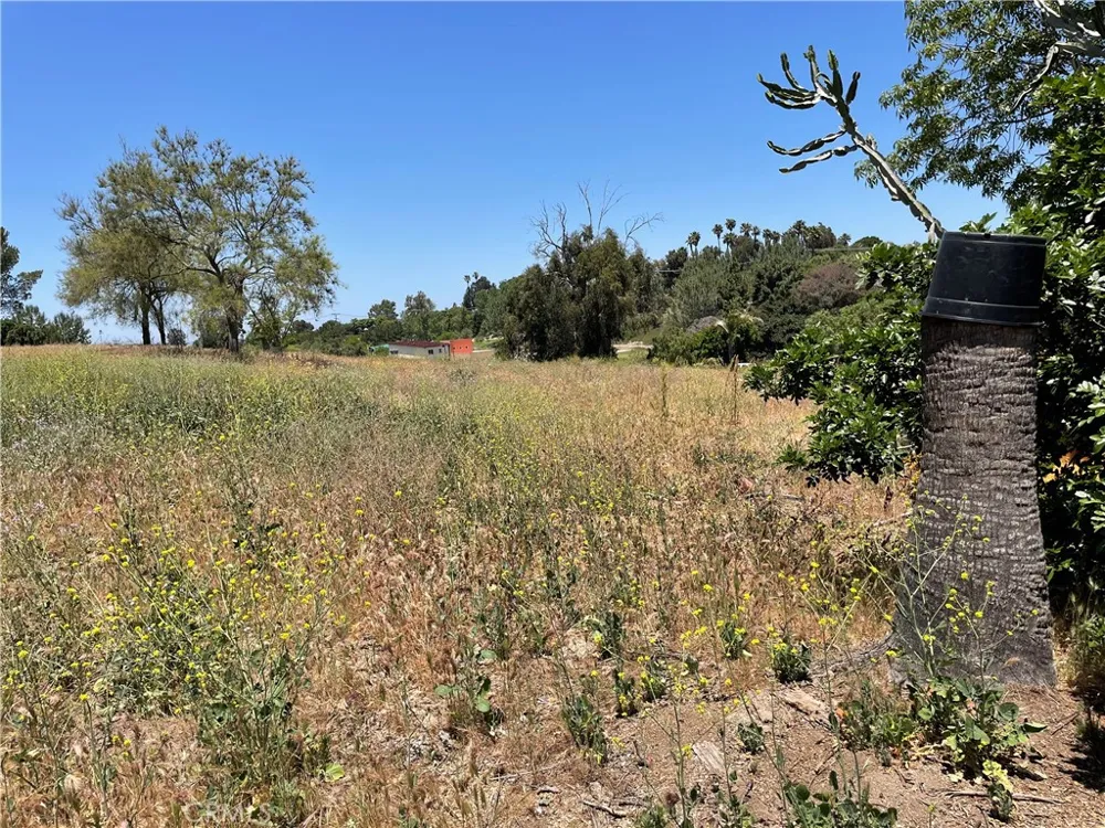 Linda Vista Drive San Marcos, CA 92078