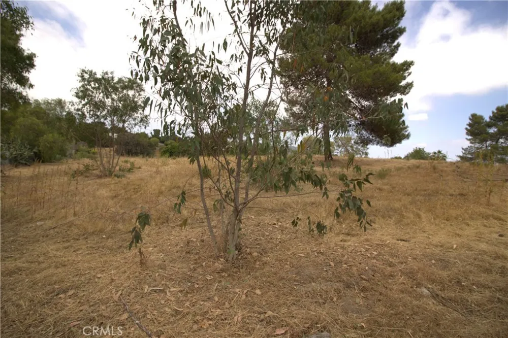 Linda Vista Drive San Marcos, CA 92078
