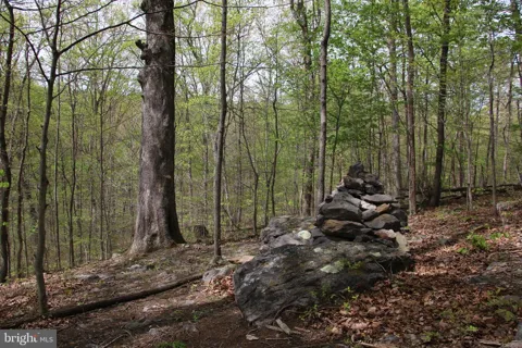 DRUMMER HILL ROAD