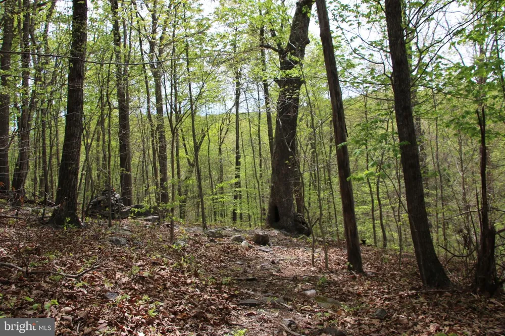 DRUMMER HILL ROAD Front Royal, VA 22630