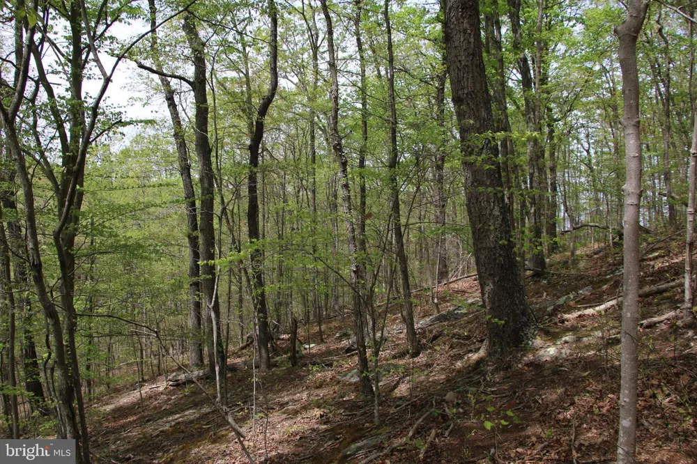 DRUMMER HILL ROAD Front Royal, VA 22630