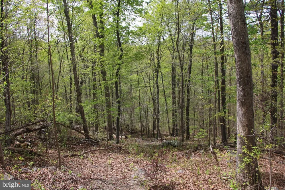 DRUMMER HILL ROAD Front Royal, VA 22630