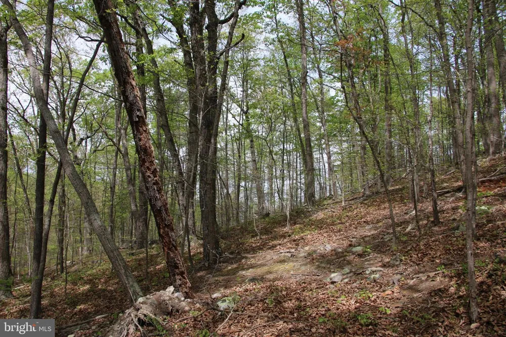 DRUMMER HILL ROAD Front Royal, VA 22630