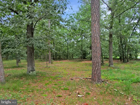 0 MAPLE AVENUE