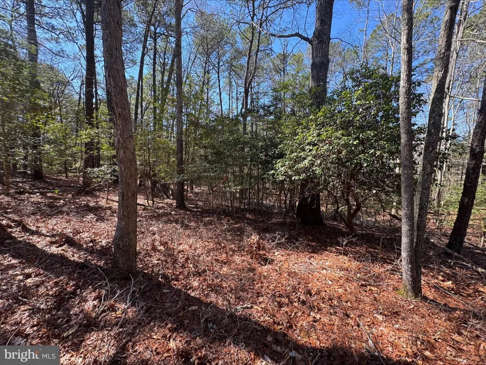 BUCCANEER BOULEVARD Greenbackville, VA 23356