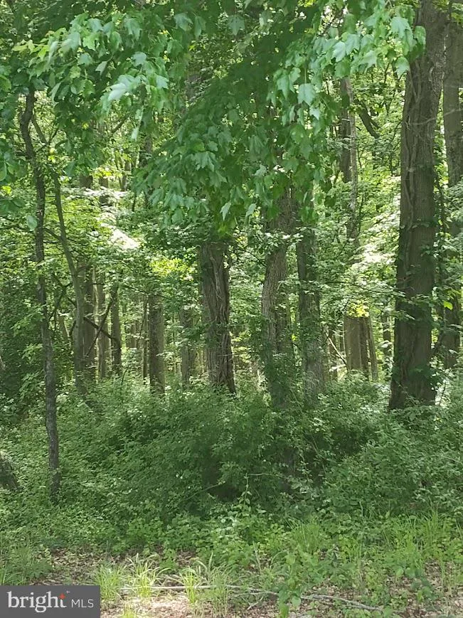 CAULKS FIELD ROAD Chestertown, MD 21620