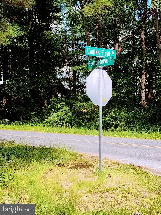 CAULKS FIELD ROAD Chestertown, MD 21620