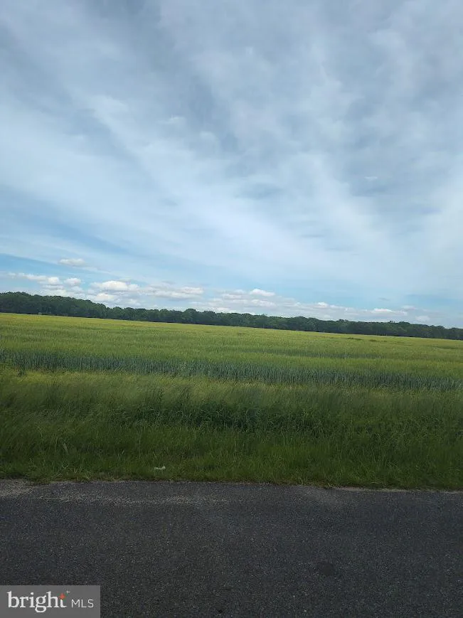 CAULKS FIELD ROAD Chestertown, MD 21620
