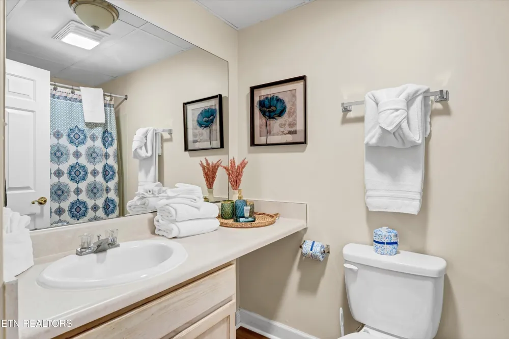 413 Baskins Creek Rd #205 Gatlinburg, TN 37738