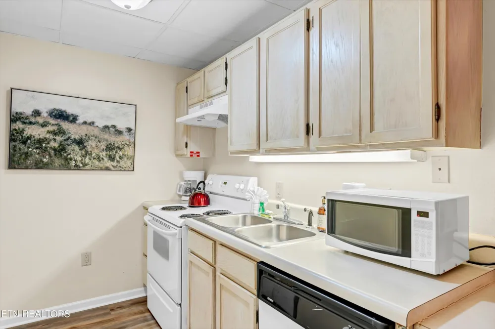 413 Baskins Creek Rd #205 Gatlinburg, TN 37738