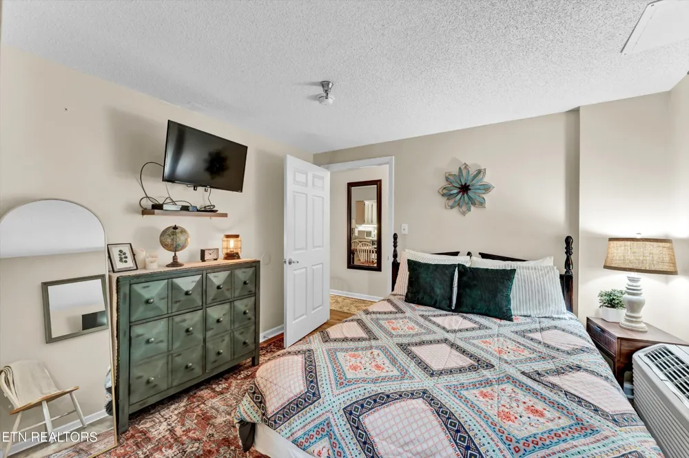 413 Baskins Creek Rd #205 Gatlinburg, TN 37738