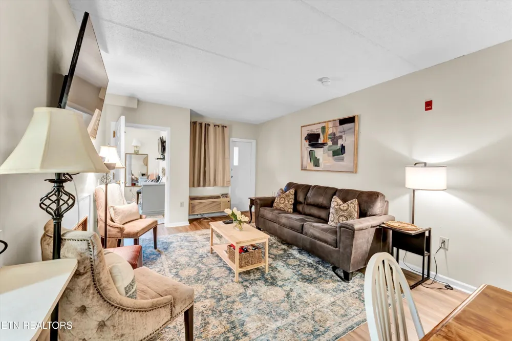 413 Baskins Creek Rd #205 Gatlinburg, TN 37738