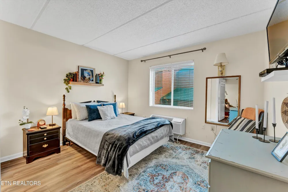 413 Baskins Creek Rd #205 Gatlinburg, TN 37738