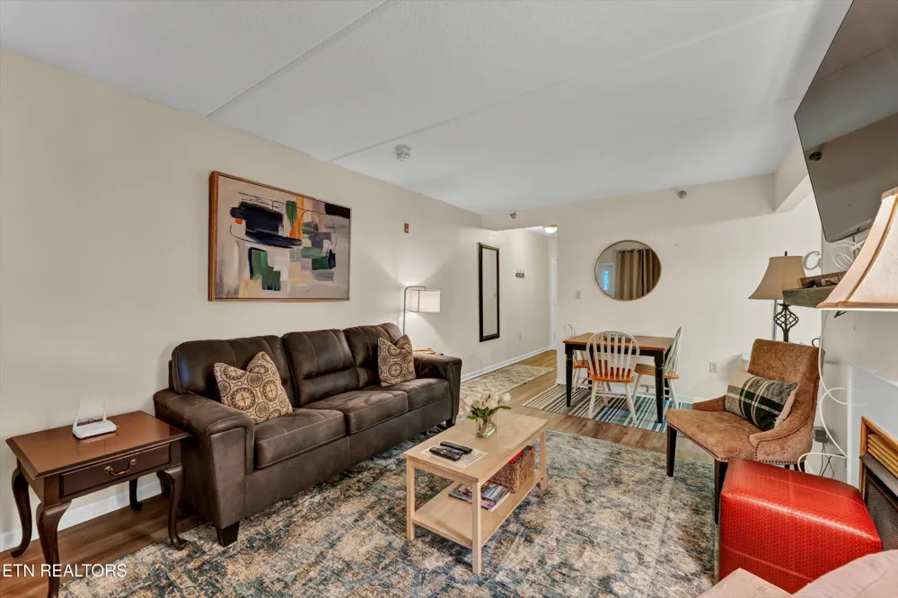 413 Baskins Creek Rd #205 Gatlinburg, TN 37738