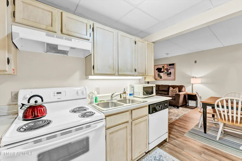 413 Baskins Creek Rd #205 Gatlinburg, TN 37738
