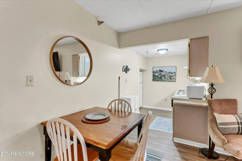 413 Baskins Creek Rd #205 Gatlinburg, TN 37738