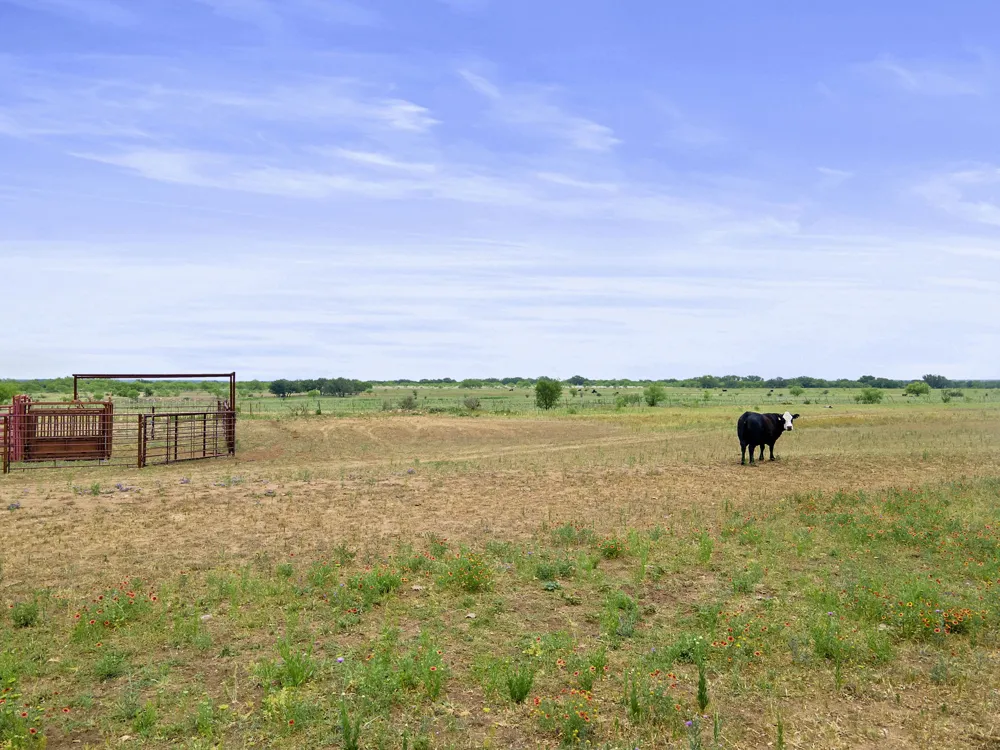 8557 Fm-586 Bangs, TX 76823