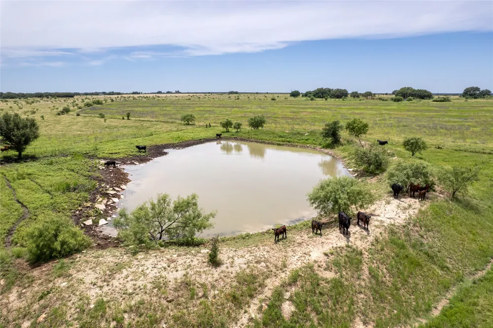 8557 Fm-586 Bangs, TX 76823