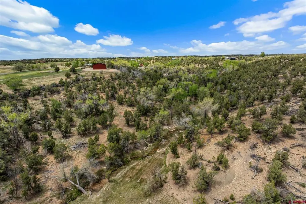 27778 Road P Dolores, CO 81323