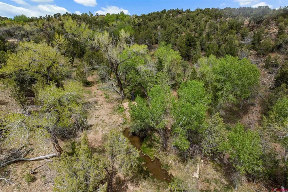 27778 Road P Dolores, CO 81323